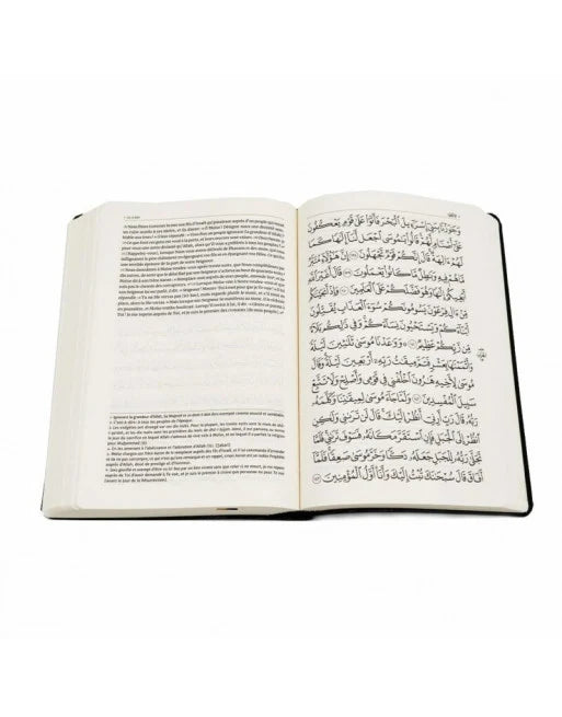 LE CORAN (ARABE FRANCAIS) ET LA TRADUCTION DU SENS DE SES VERSETS
