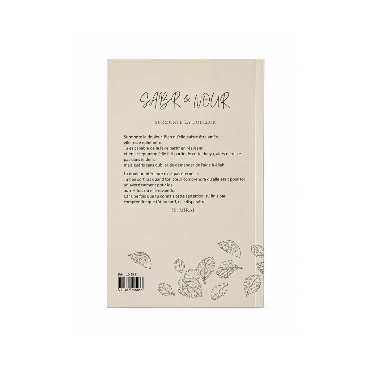 Sabr & Nour - Surmonte la Douleur