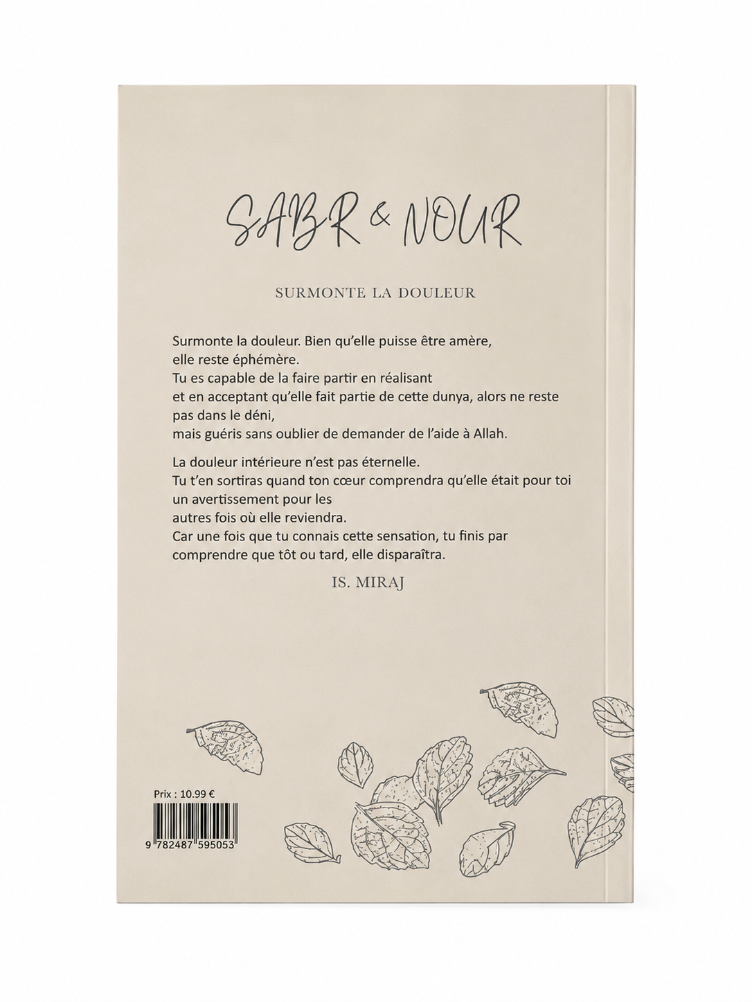 Sabr & Nour - Surmonte la Douleur